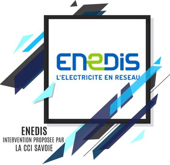 ENEDIS